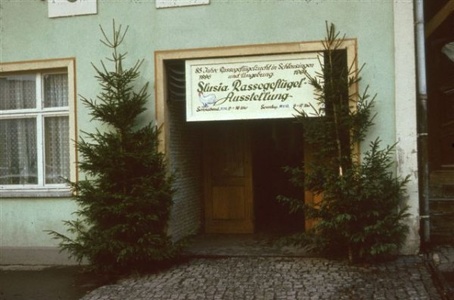Ausstellung in Scleusingen- Thüringen Schweizer Tauben