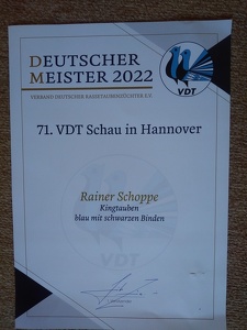 Deutscher Meister 2022  vom VDT auf Kingtauben Blau m. Binden